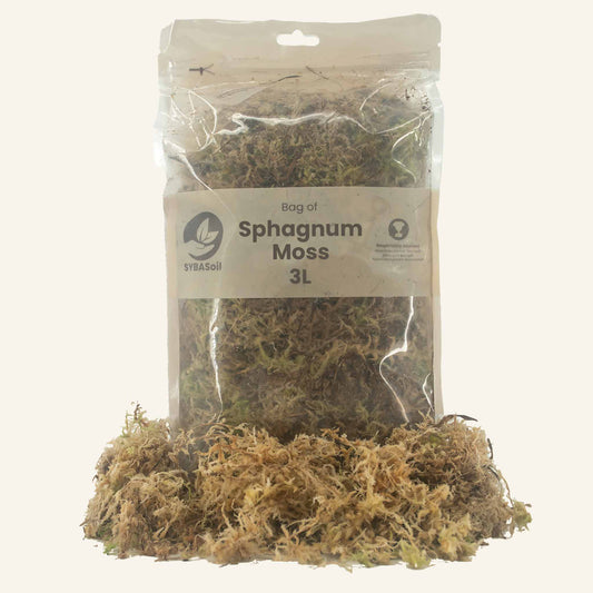 Sphagnum moss