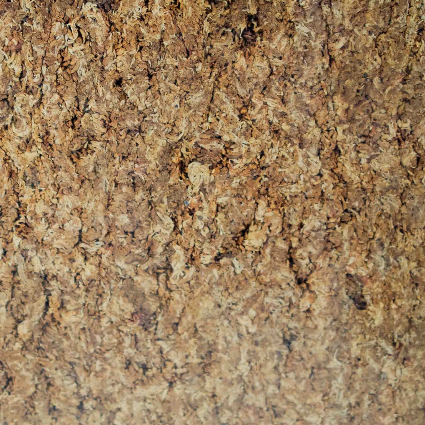 Pressed Sphagnum moss (Argentinian)