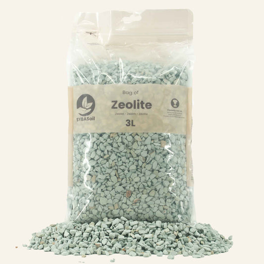 Zeolite